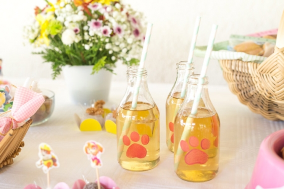 Ideas para fiesta de Paw Patrol para niñas