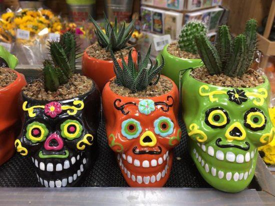 Maceteras de Calavera