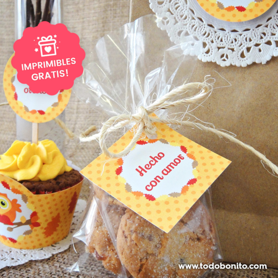Mini kits imprimibles gratis primavera y otoño