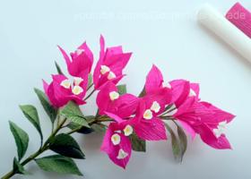 La flor de la peli Encanto: buganvillas de papel